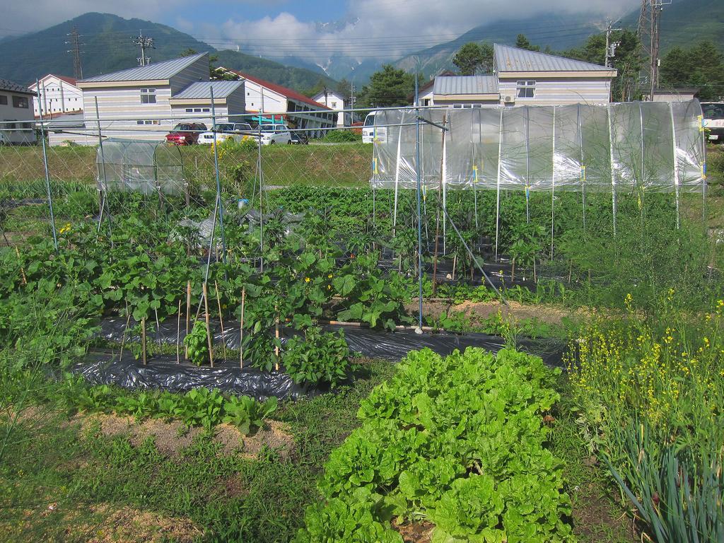 Pension Agi Hakuba Exterior photo